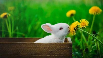 某网红茶室价格虚高，茶品普通